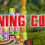 Shining Cubes