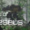Ship of Theseus