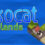 Sokocat - Islands