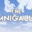 The OmniGallery