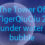 The Tower Of TigerQiuQiu 2 - Under Water Bubble