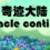 奇迹大陆 Miracle continent