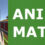 ANIME MATCH